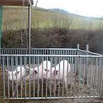 Rommelehof 4* Gutach