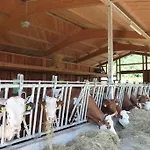 Rommelehof Pensión