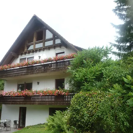 Rommelehof Pensión Gutach