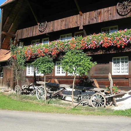Guest house Rommelehof Gutach
