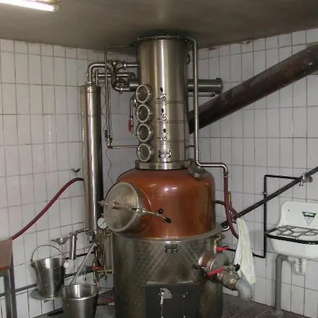 Rommelehof Pensión Gutach