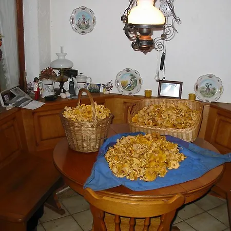 Rommelehof Pensión Gutach