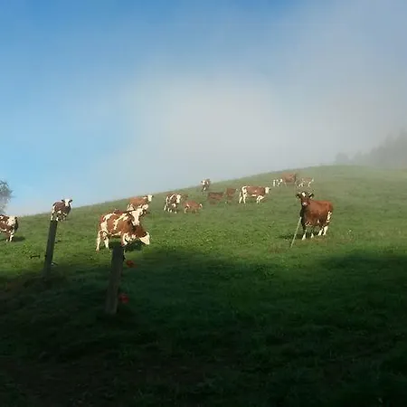 Rommelehof Pensión 4*