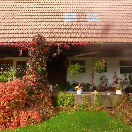 Rommelehof 4* Gutach