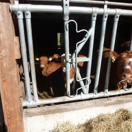 Pensión Rommelehof Gutach