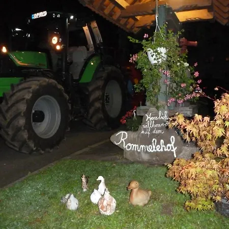 Rommelehof 4* Gutach