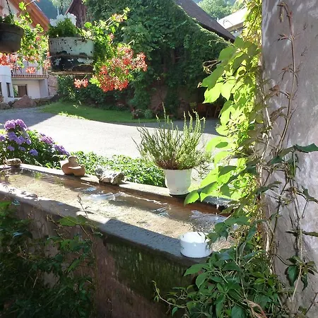 Rommelehof Guest house 2*