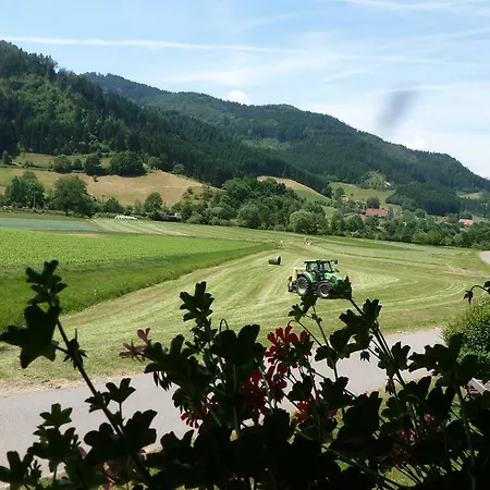 Pensión Rommelehof 4*