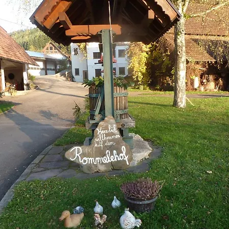 Guest house Rommelehof 2*