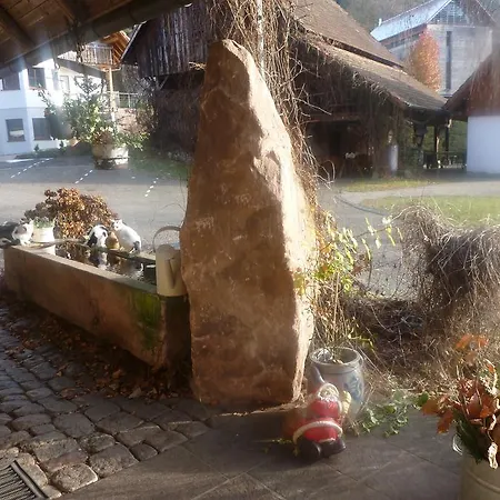 Rommelehof Pensión Gutach