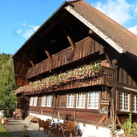 Rommelehof Guest house Gutach