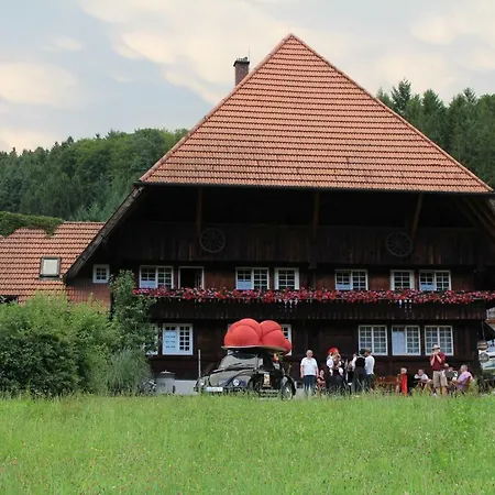 Rommelehof Pensión Gutach