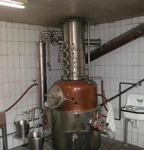 Rommelehof Pensjonat Gutach