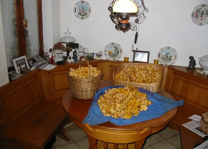 Rommelehof Pensjonat Gutach