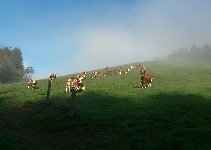 Rommelehof Pensjonat 4*