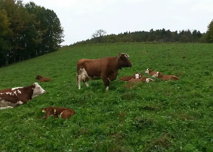 Rommelehof Pensjonat