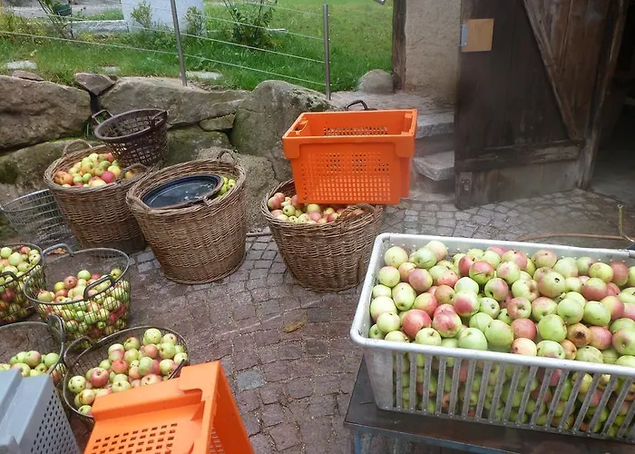 Pensjonat Rommelehof