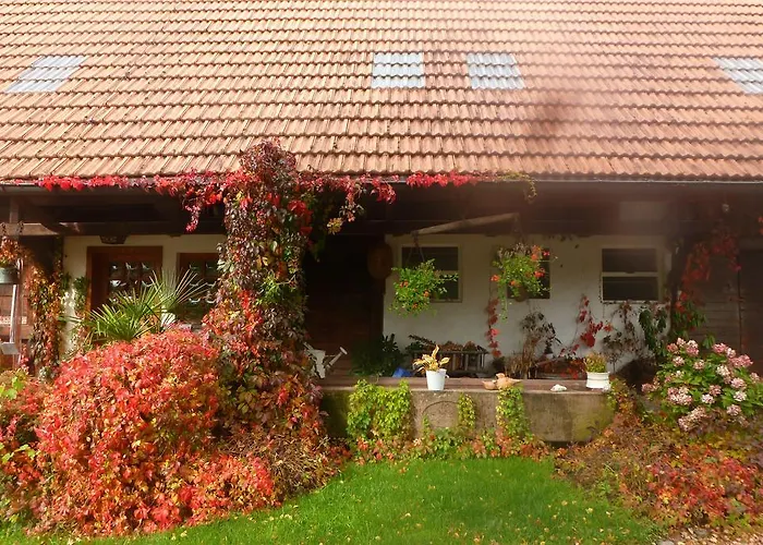 Rommelehof 4* Gutach