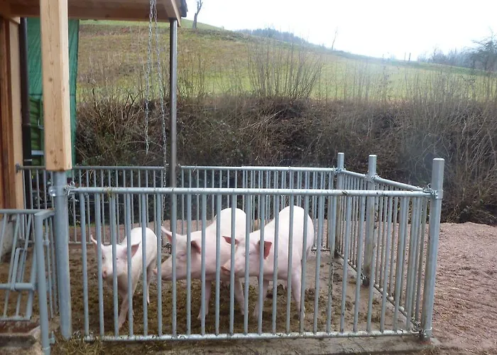 Rommelehof 4* Gutach