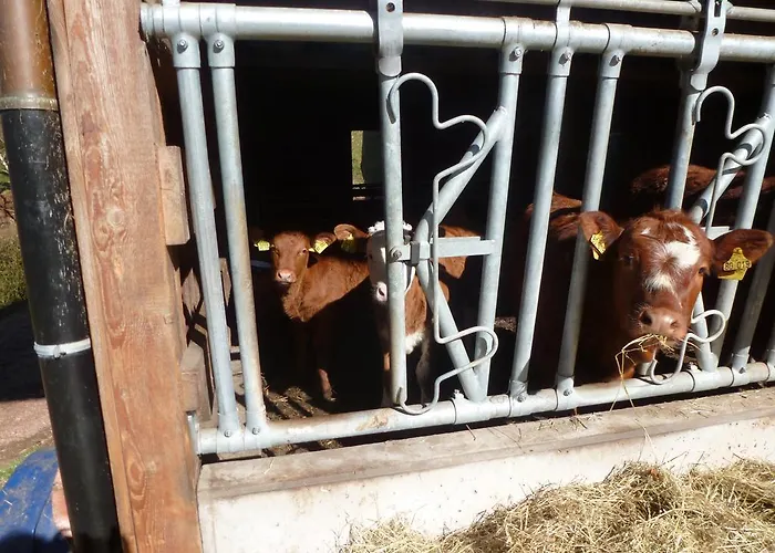 Pensjonat Rommelehof Gutach