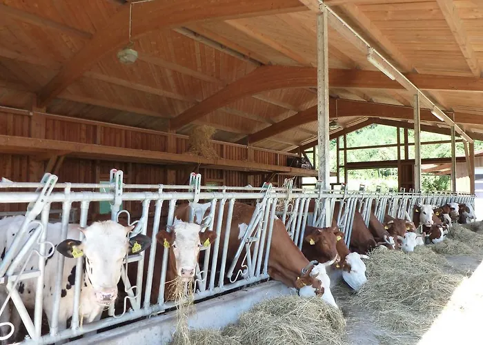 Rommelehof Pensjonat