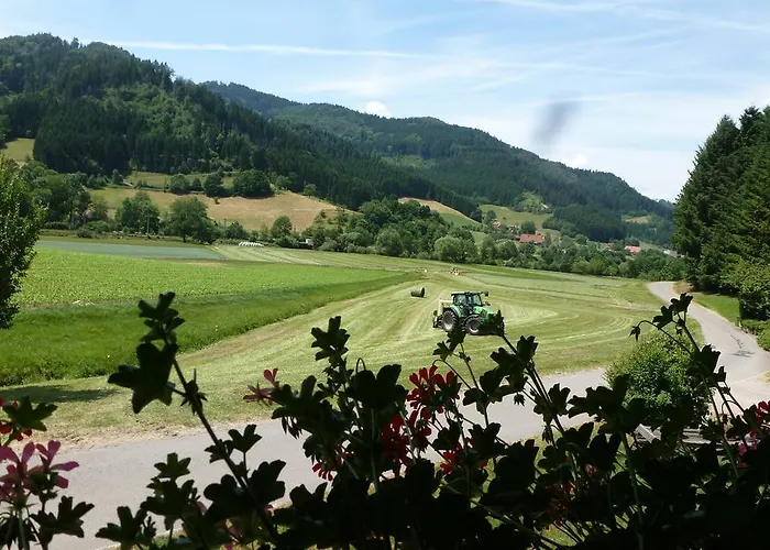 Pensjonat Rommelehof 4*